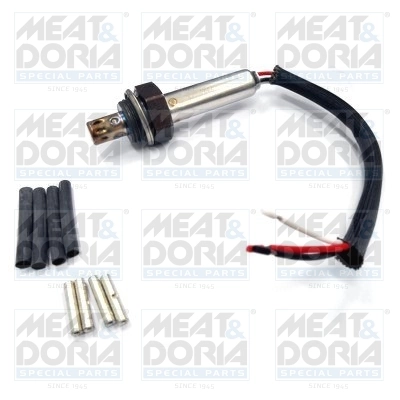 Oxygen Sensor